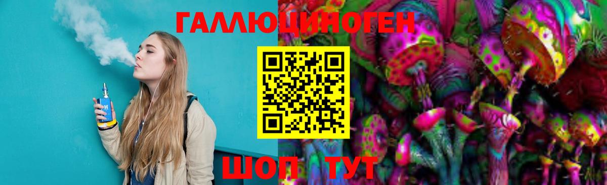 Псилоцибиновые грибы Psilocybe Верхняя Пышма